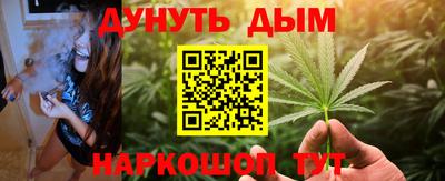 мет Дубна