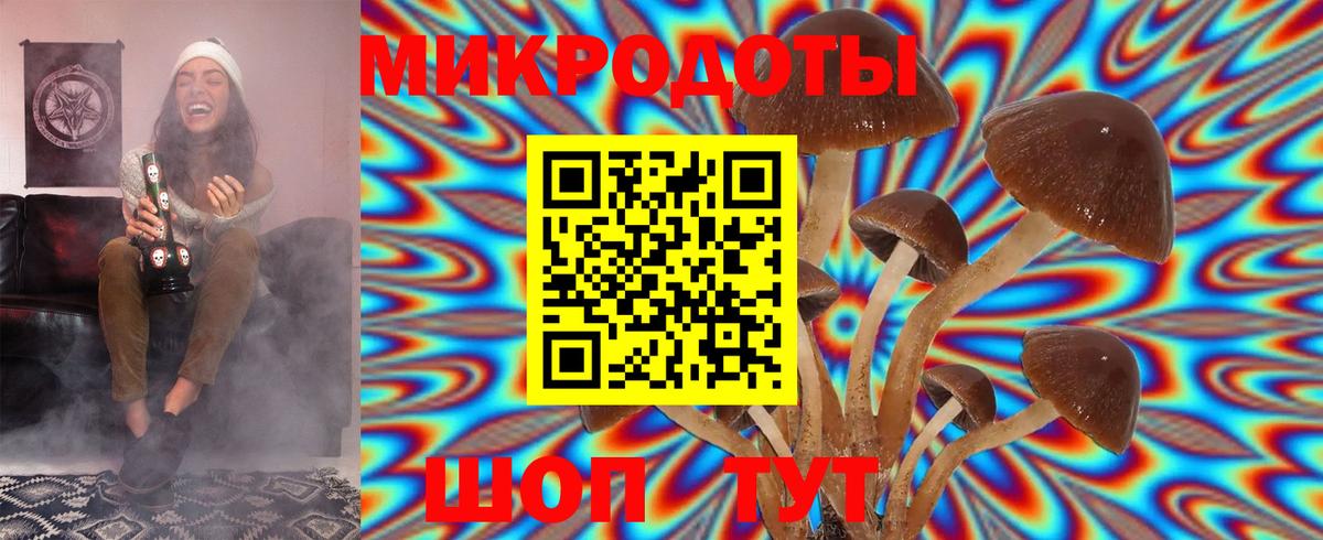 Мурино  Галлюциногенные грибы MAGIC MUSHROOMS  Вход с VPN 