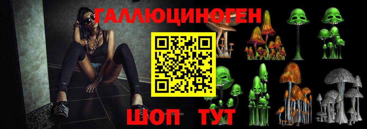 Галлюциногенные грибы прущие грибы Мурино